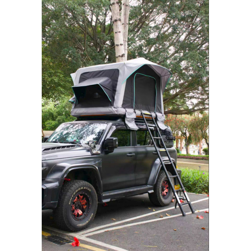Inflatable Waterproof Roof Top - Outdoor Camping Inflatable Tent reseña y precio