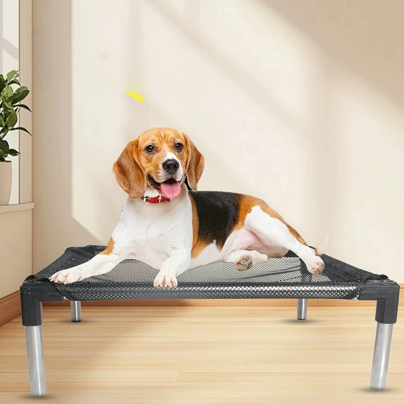 Cooling Elevated Dog Bed - Rai - Outdoor Camping Couch reseña y precio