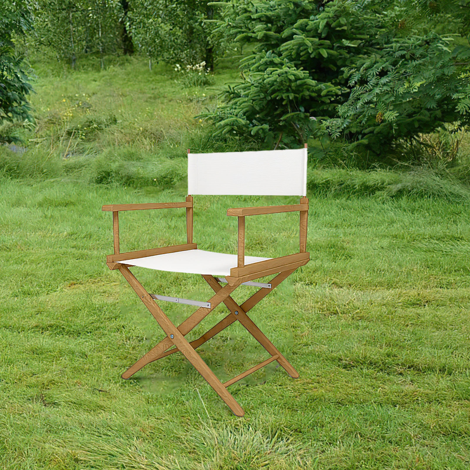 Folding Chair Seat Replacement - Outdoor Camping Folding Chairs reseña y precio